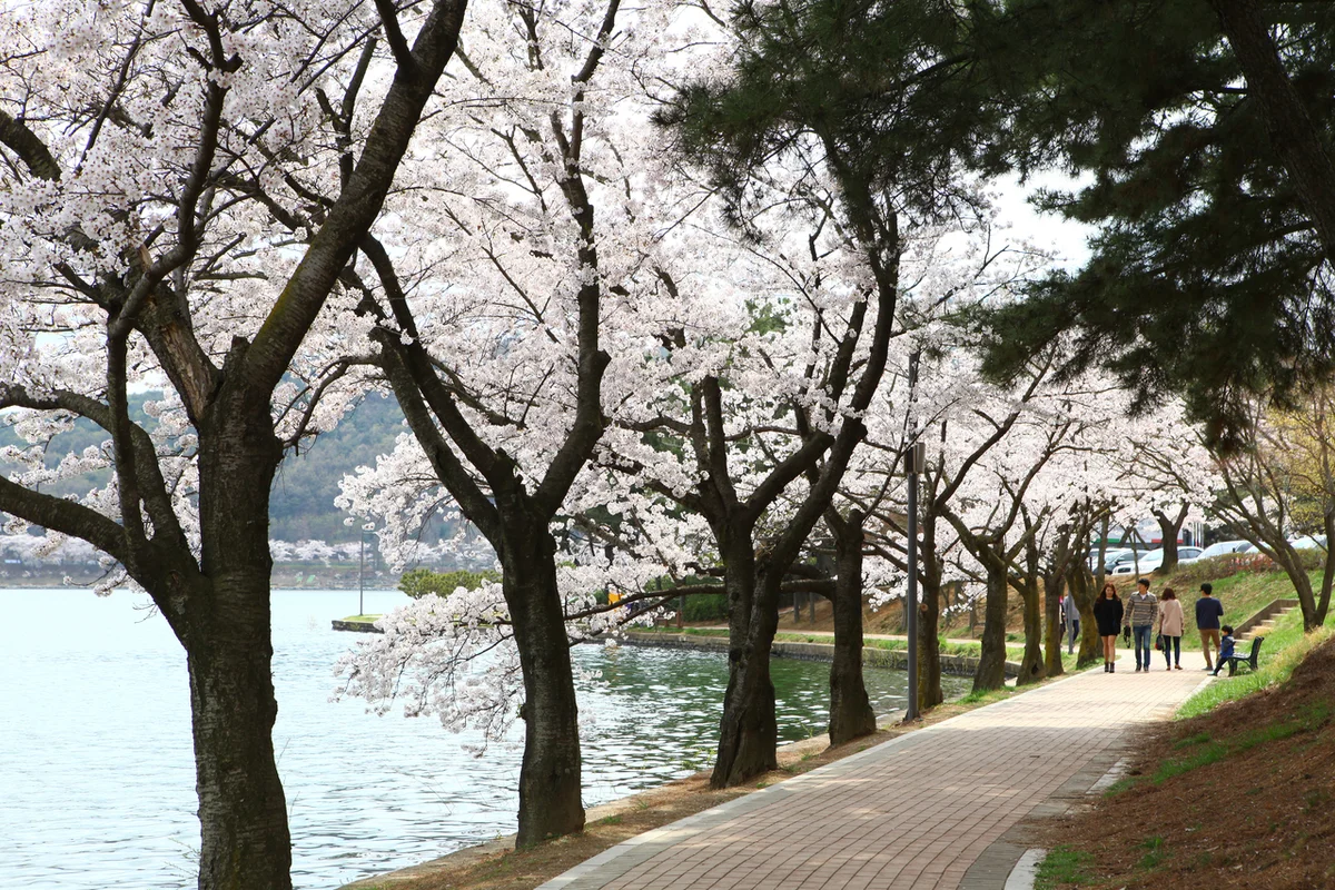 보문호수 - 경주 보문단지 여행