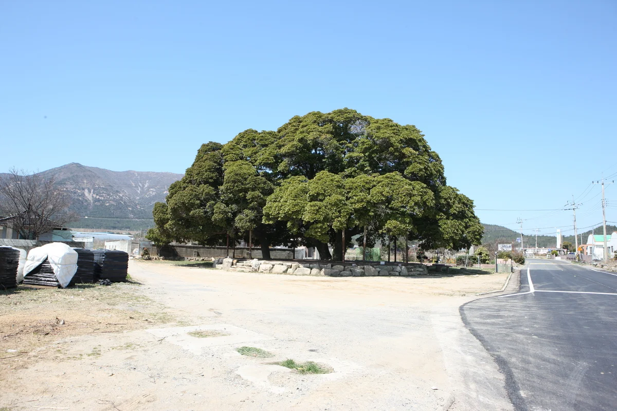 삼산체육공원 - 삼산야간명소 여행