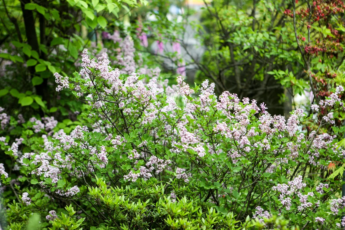 상수 수목원 (출처 : 한국관광공사)