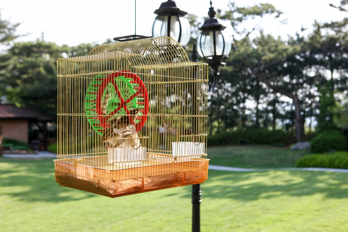 양평 크리스마스 데이트, 놓칠 수 없는 명소들 - 양평데이트 여행