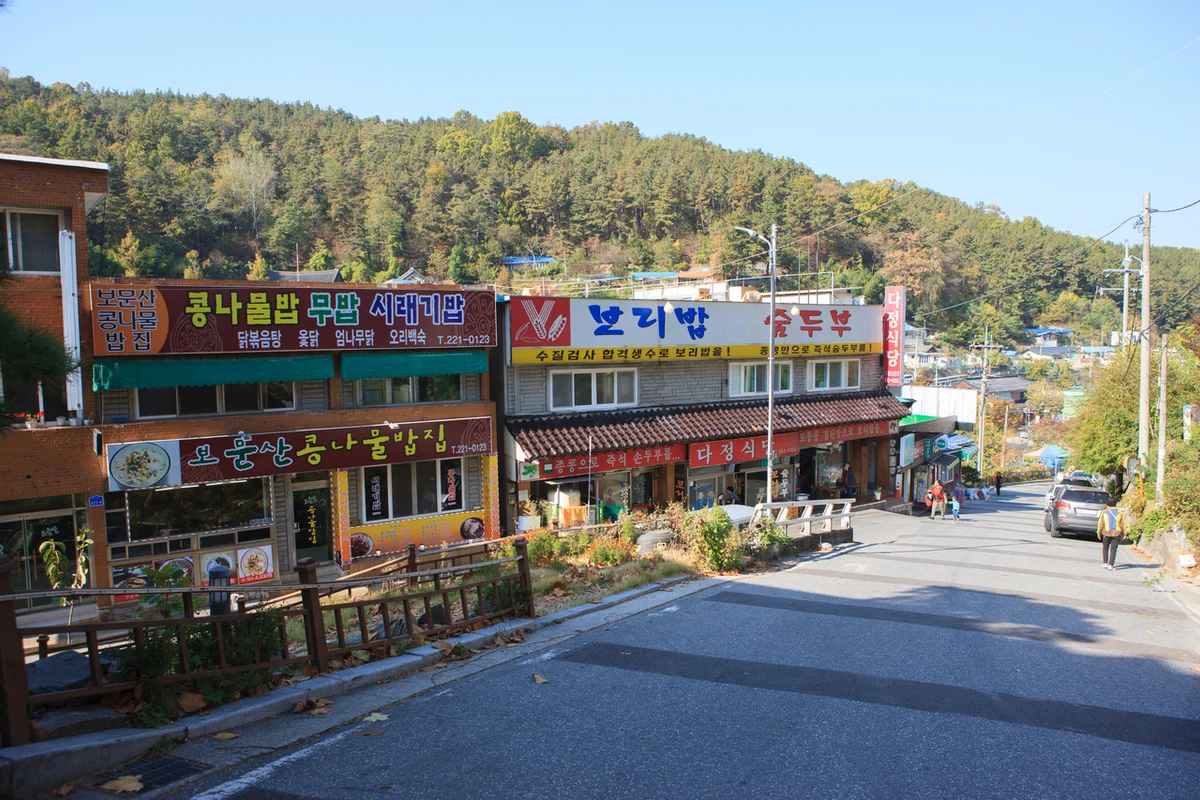 보문산 가성비 숙소 인근: 대전아쿠아리움 - 보문산 여행