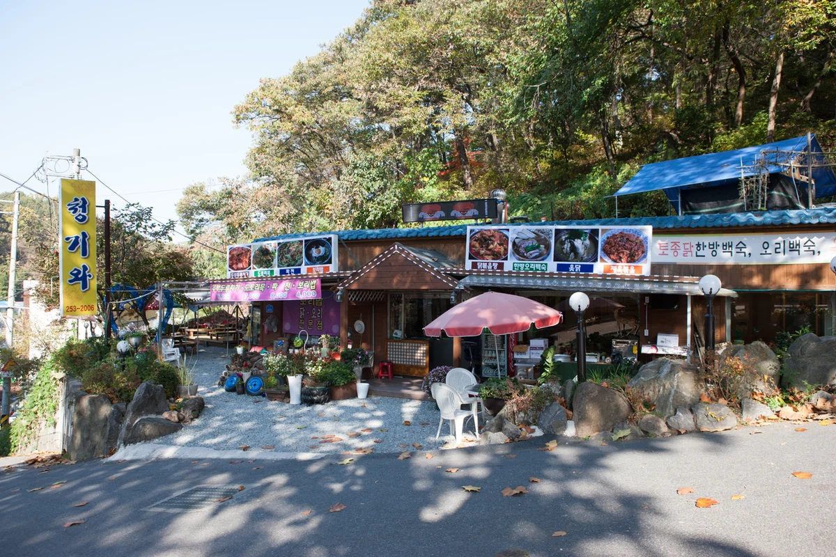 보문산 - 보문산 여행