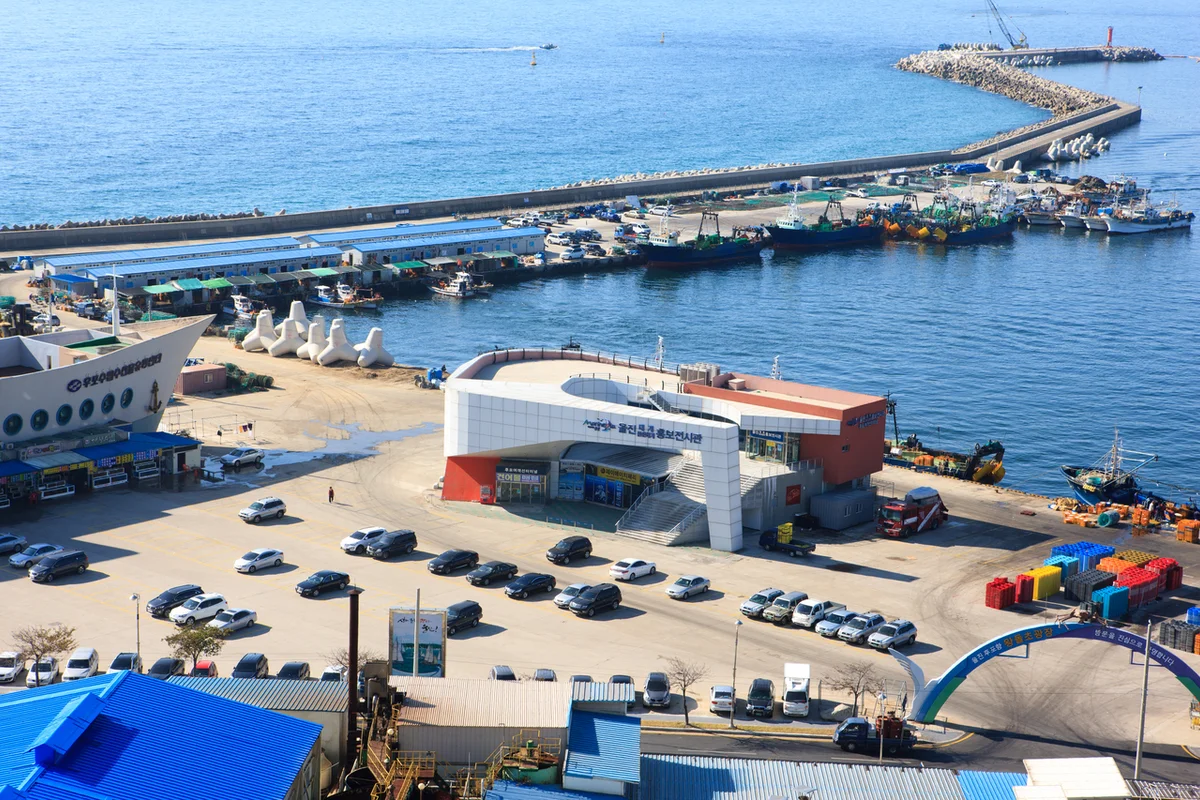 울진 후포항 (2026 울진대게 붉은대게축제) - 경북여행 여행