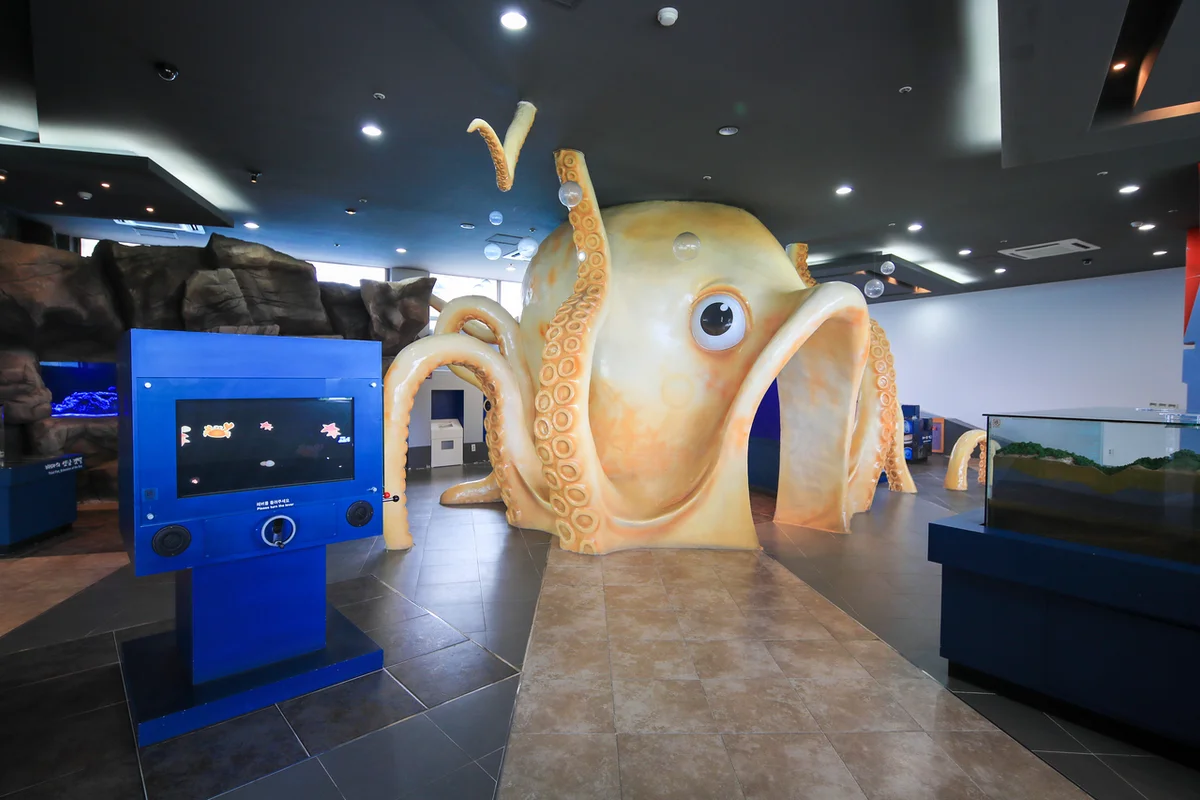 무안 전시 (출처 : 한국관광공사)