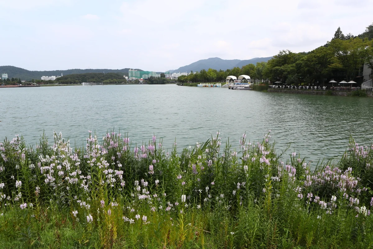 수성못 - 수성못 여행