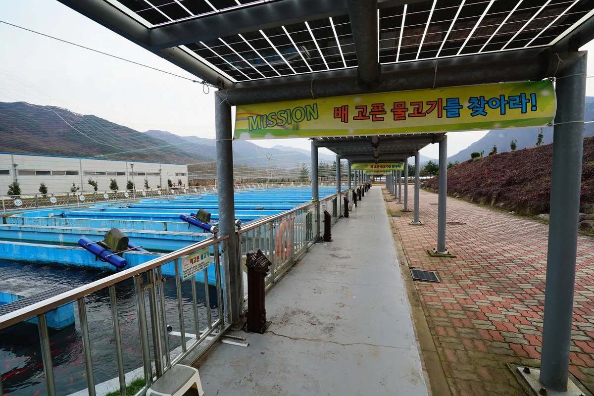 산수유문화관 - 구례 여행