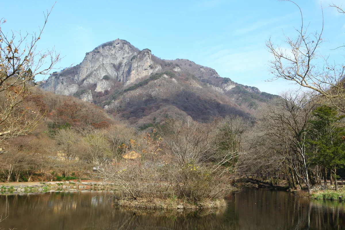 하비스트키즈풀빌라 - 장성군여행 여행