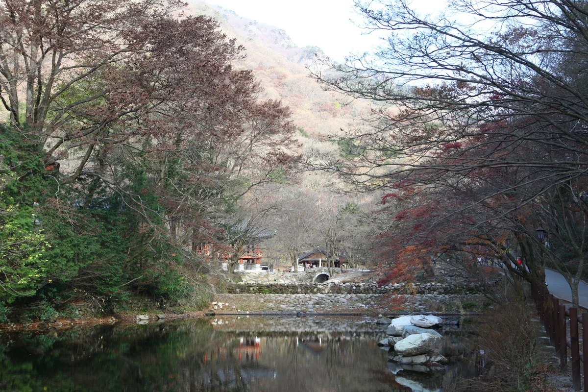 휴블리제 - 장성군여행 여행
