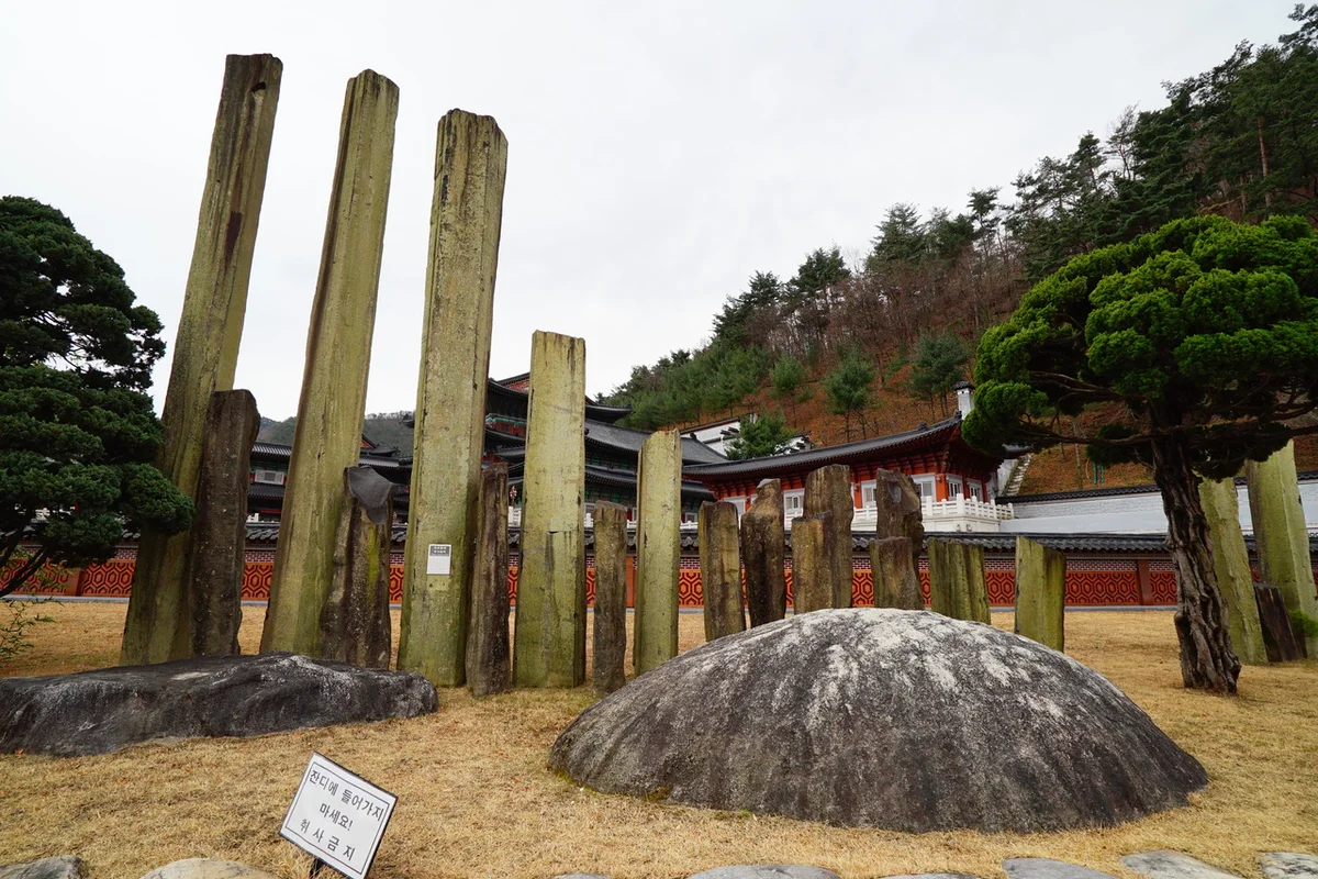삼척 맹방해변 유채꽃 (출처 : 한국관광공사)