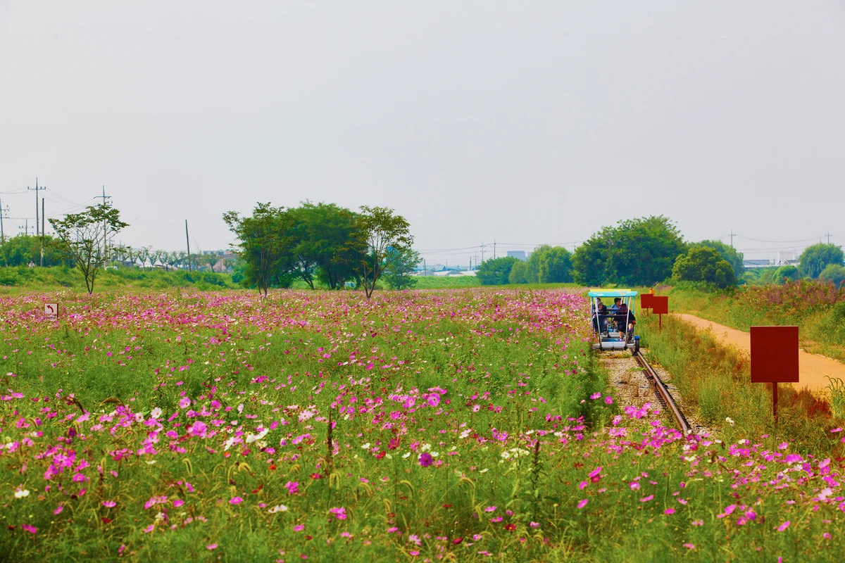 진위천유원지 - 평택여행 여행