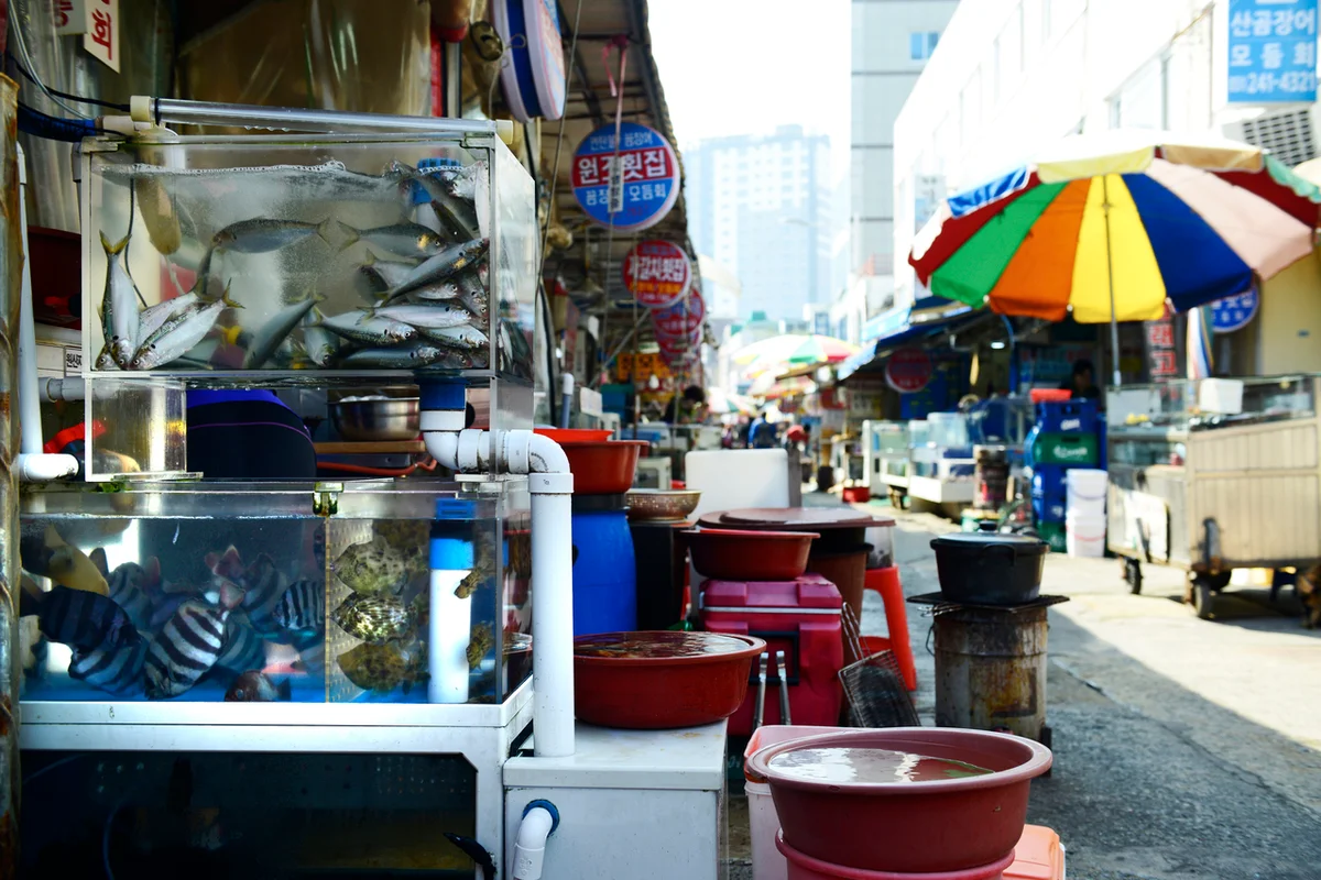 중구 횟집 (출처 : 한국관광공사)