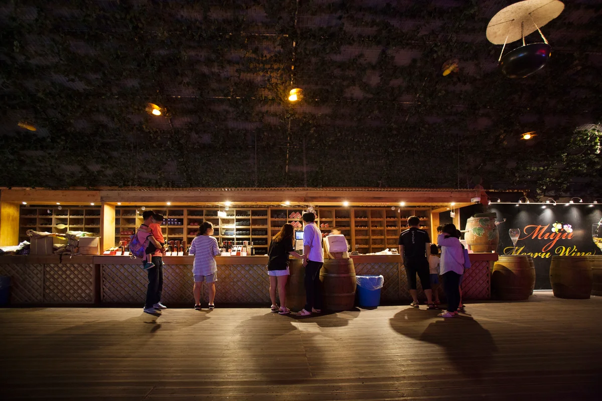 신비로운 시간을 걷는 머루와인동굴 - 덕유산 여행