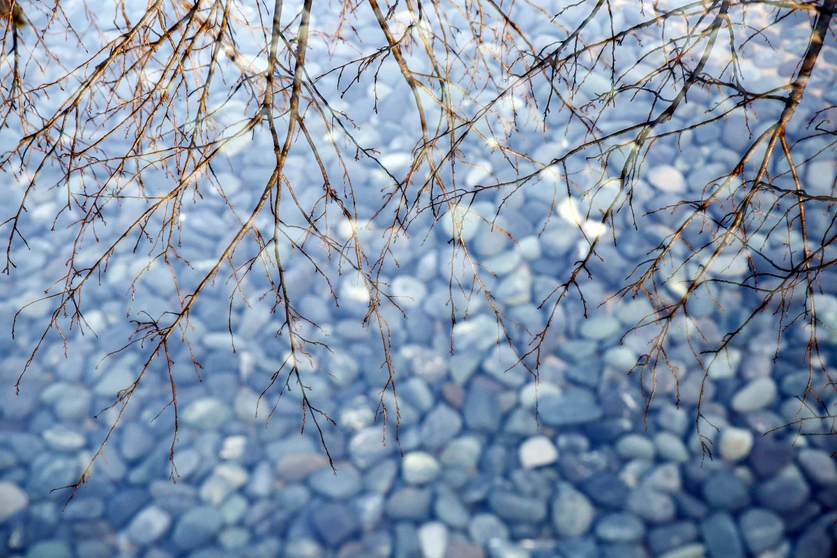 뮤지엄산 - 원주여행 여행