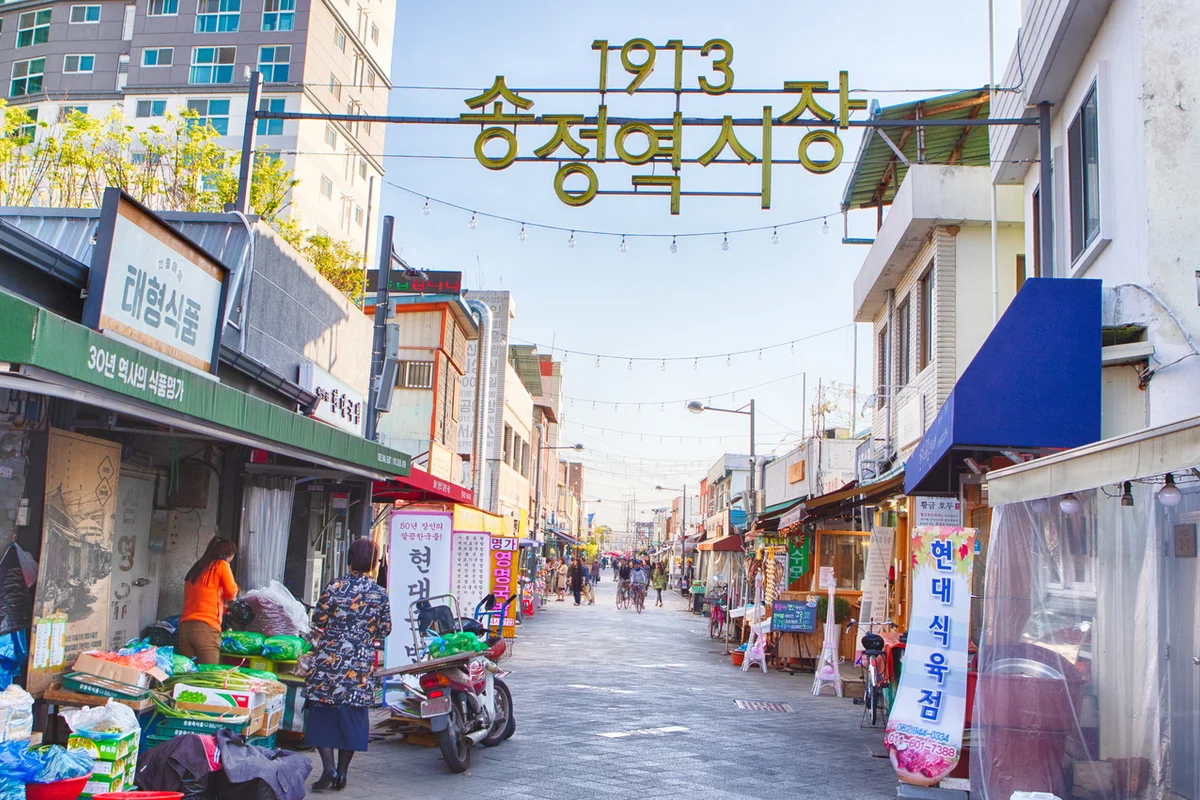 광산구 여행코스 추천, 2026년 봄을 만끽하는 여정 - 광산구여행 여행