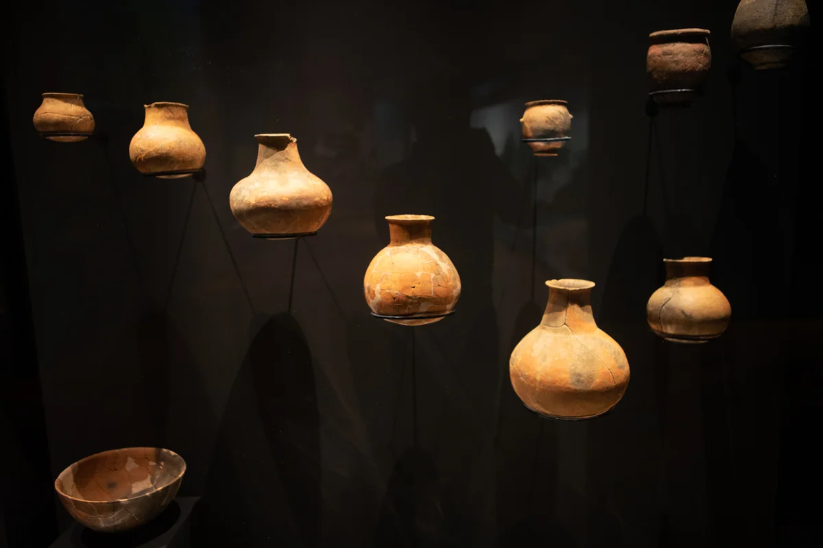 팜다원 - 수성구여행 여행