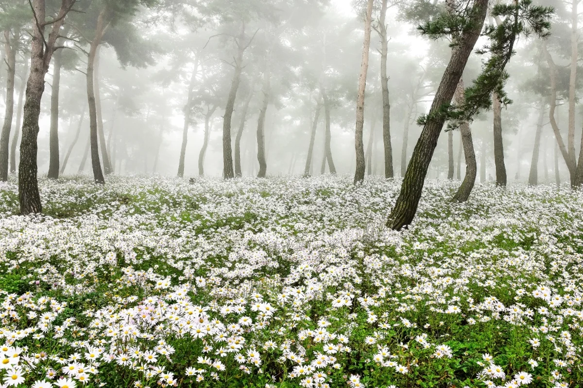 정읍 (출처 : 한국관광공사)