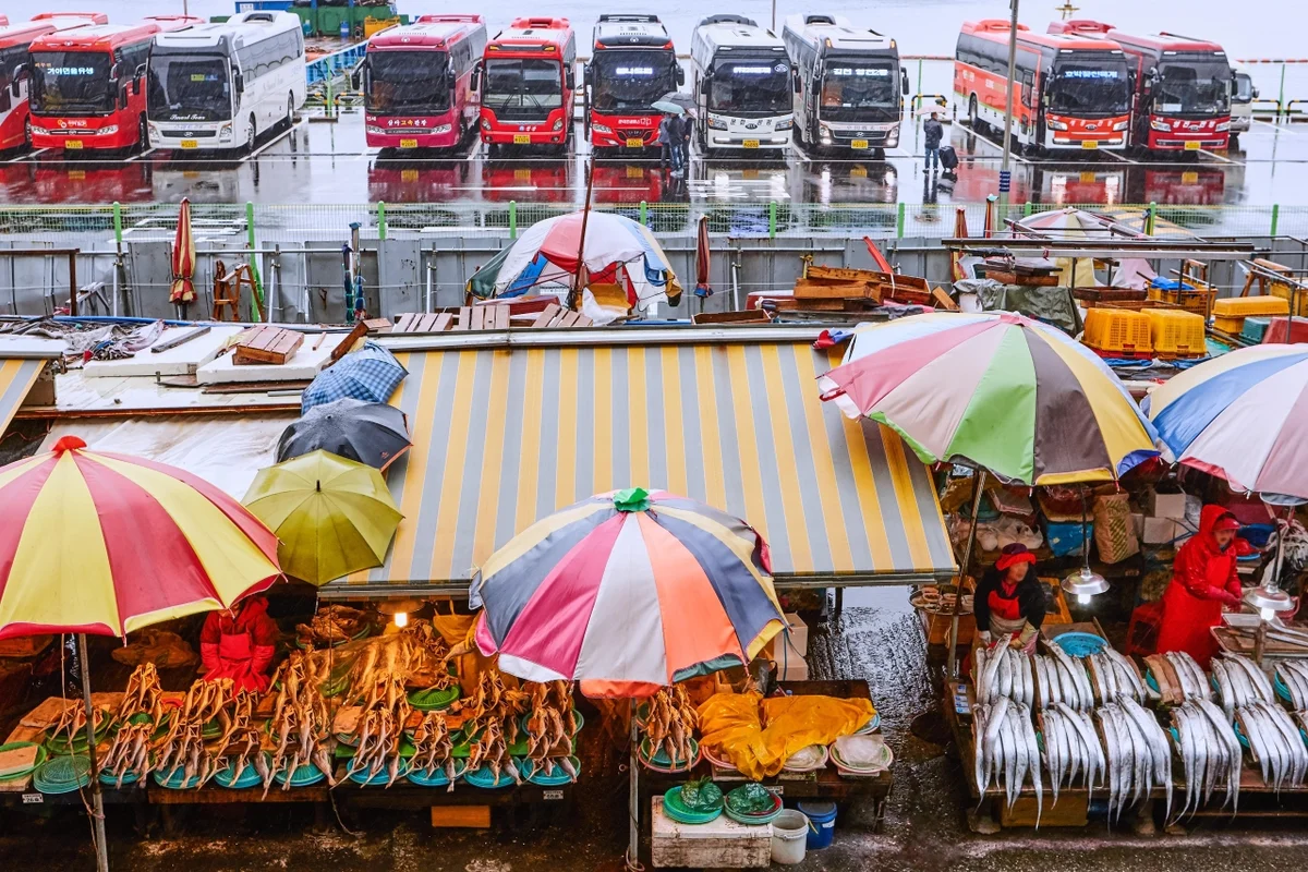 자갈치 혼행 (출처 : 한국관광공사)