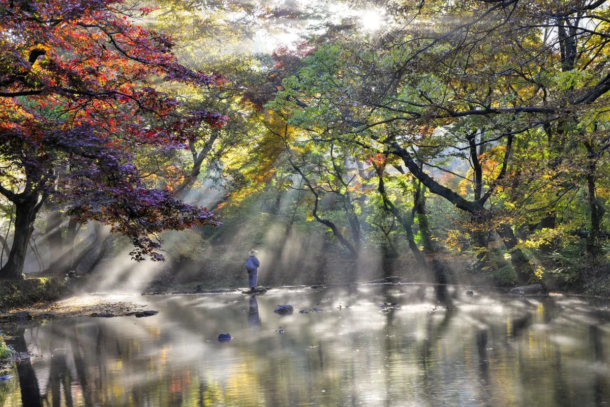 선운사 경내 - 선운사 여행