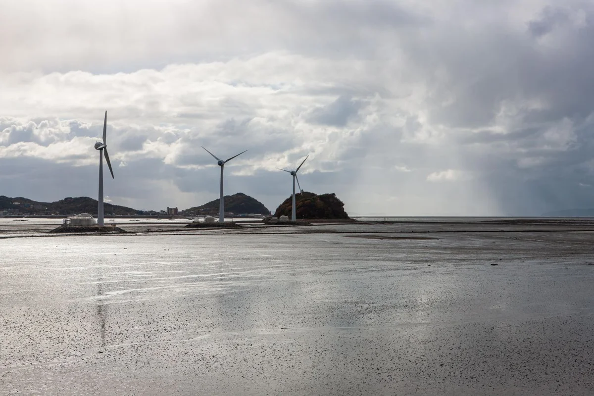 탄도항 - 안산 여행