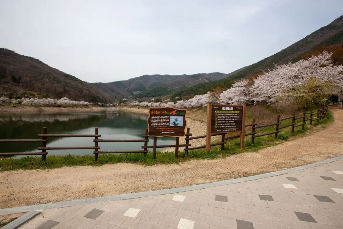 롯데백화점 구리점 - 구리여행 여행
