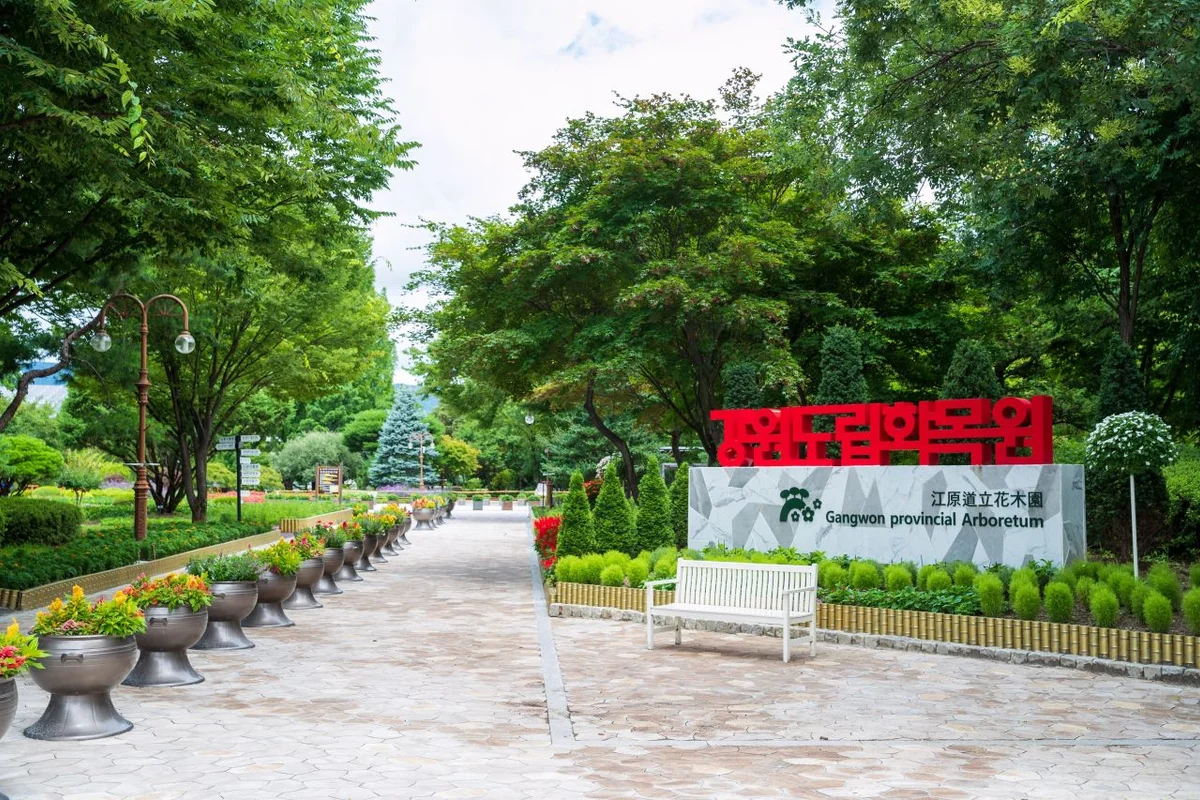 춘천시 호텔 추천 (출처 : 한국관광공사)