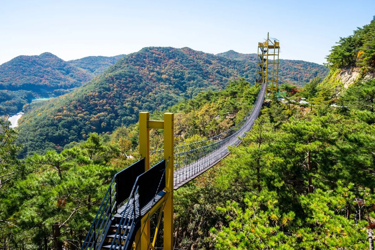 의림지 짚라인 (출처 : 한국관광공사)