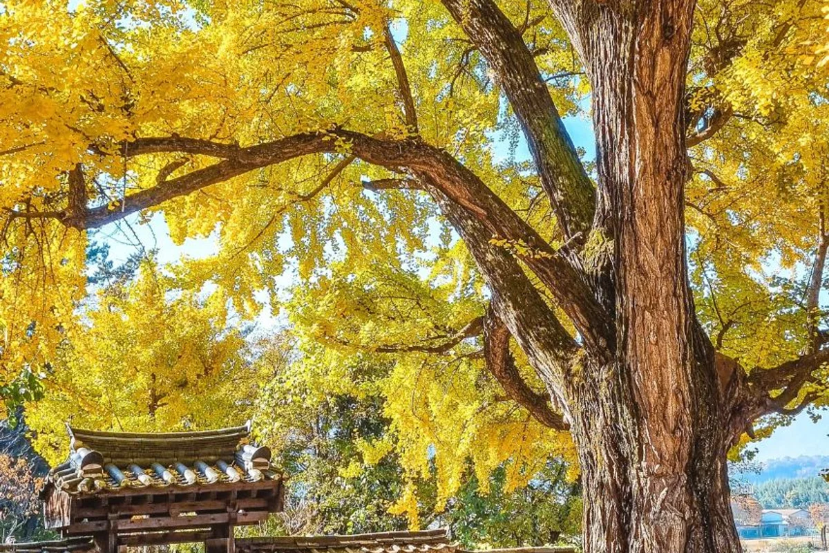 밀양 식물원 (출처 : 한국관광공사)