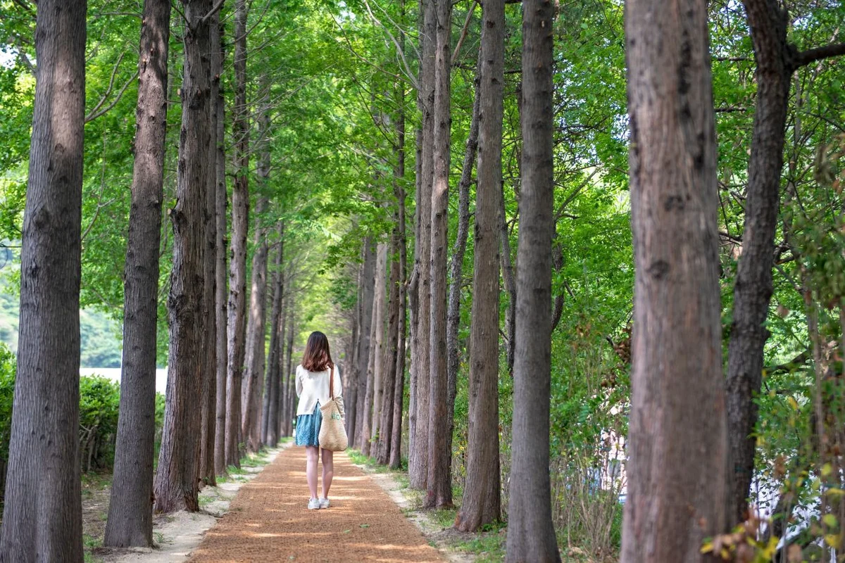 해운대 - 해운대펜션 여행