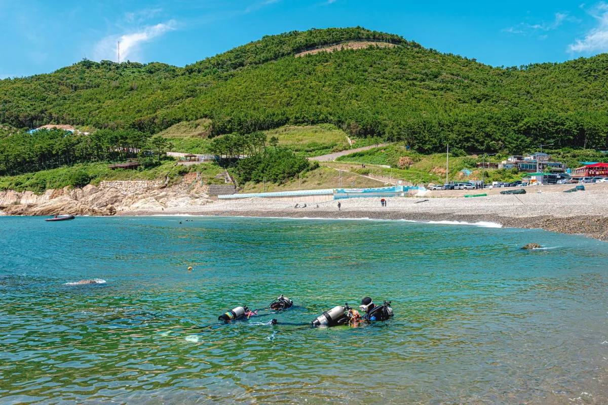 아르떼뮤지엄 부산 - 영도구 여행