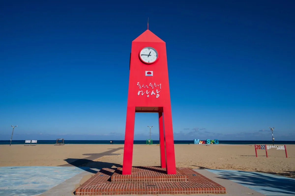 망상해수욕장 - 동해벚꽃 여행