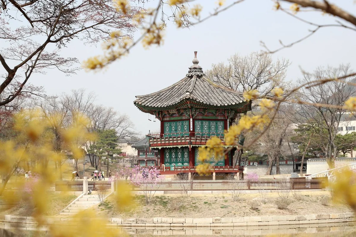 오동근린공원 - 수유 여행