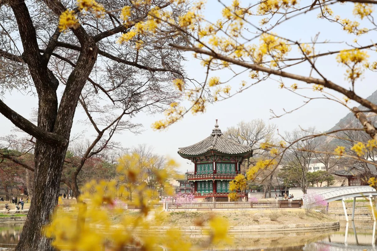 오동근린공원 유아숲체험장 - 수유 여행