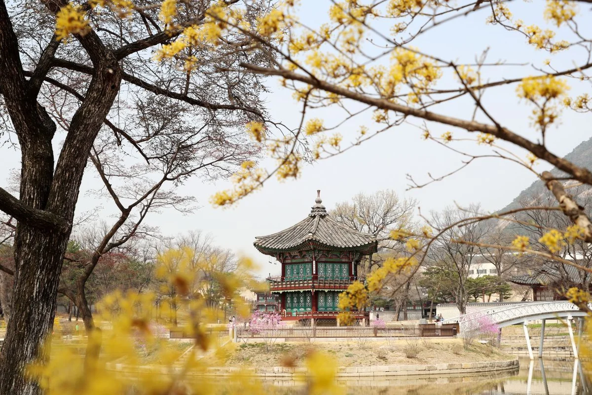 수유리먹자골목 - 수유 여행