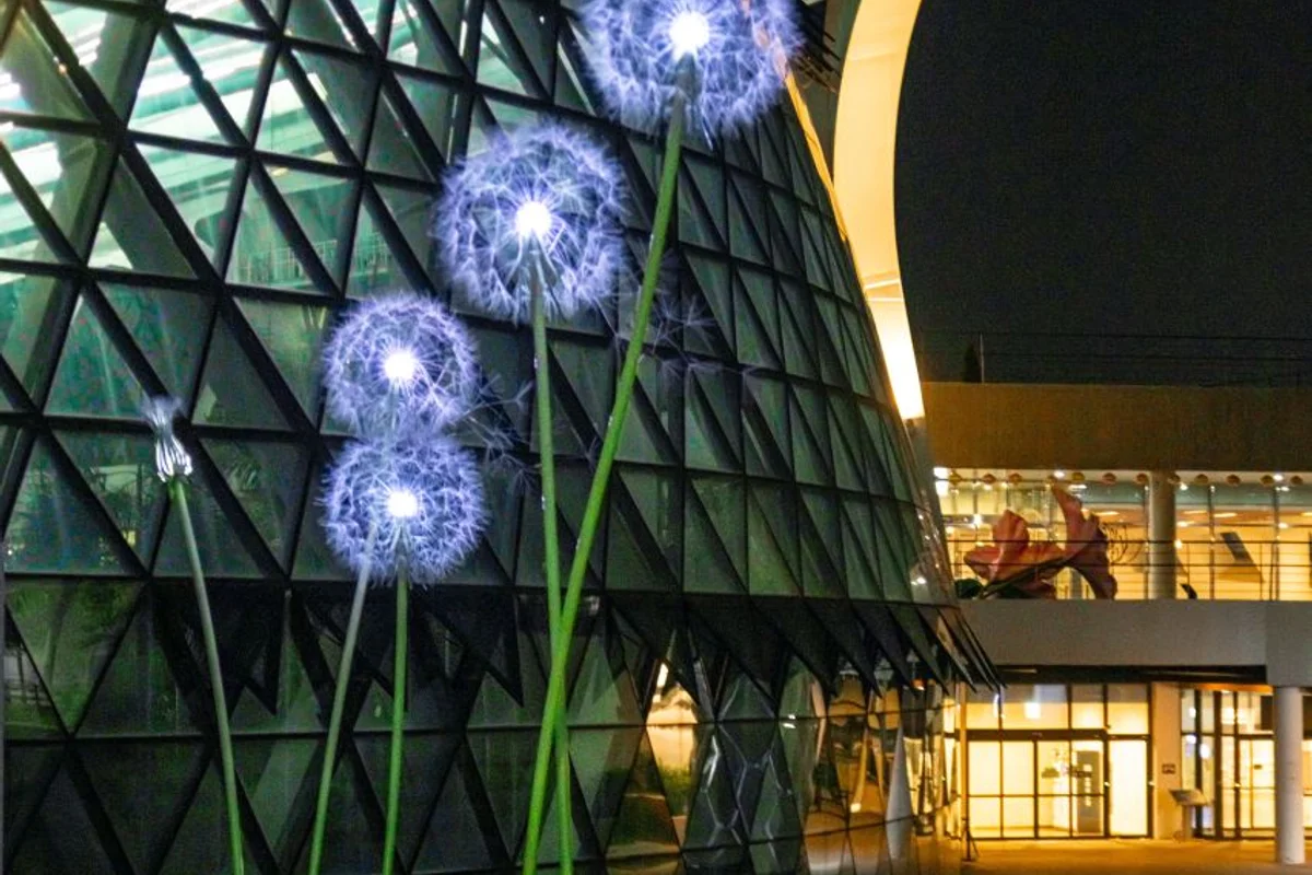 강서 여행지 에디터스 픽 - 강서여행 여행