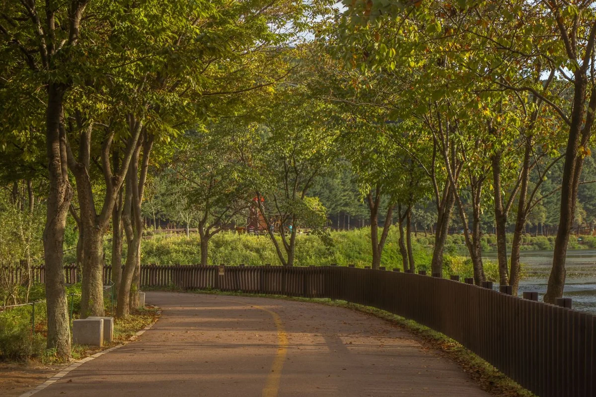 이수봉등산길 (청계산) - 성남시등산 여행