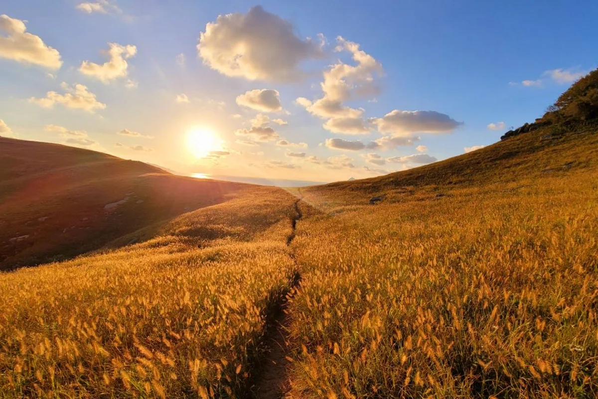 선재어촌체험마을 - 옹진군 여행