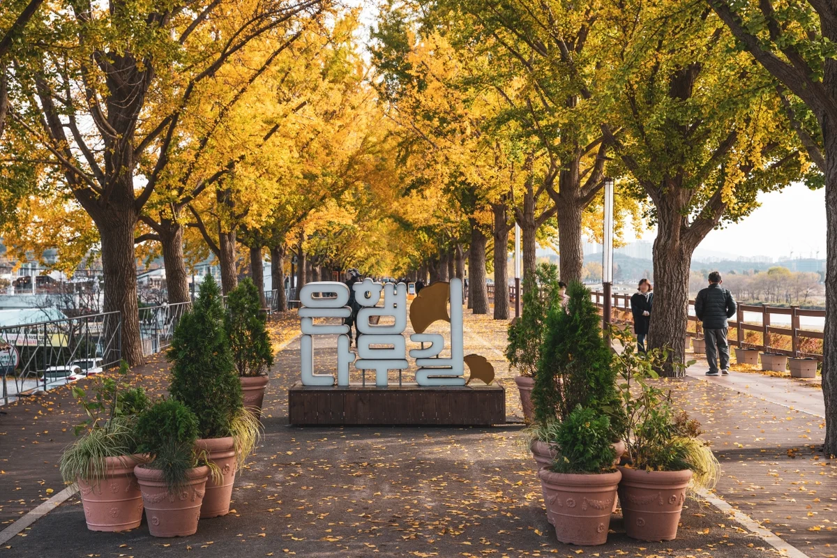 아산 혼행 (출처 : 한국관광공사)
