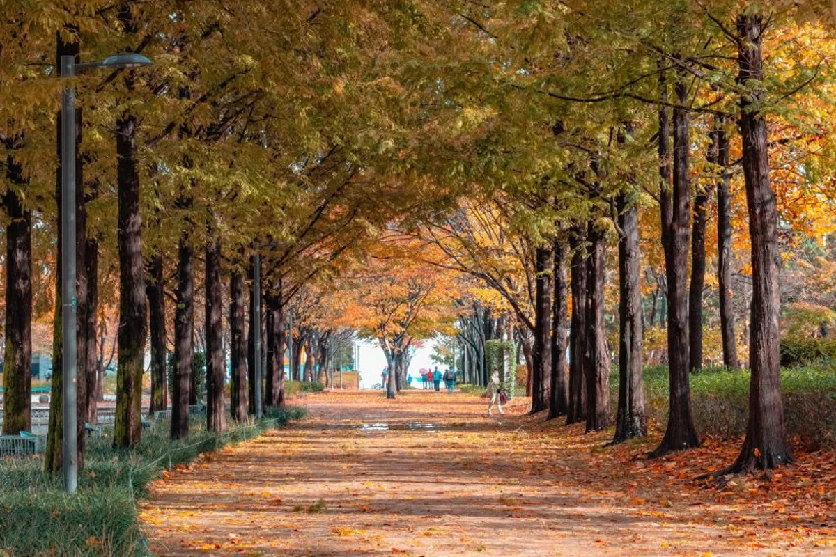 서울숲 - 왕십리관광 여행