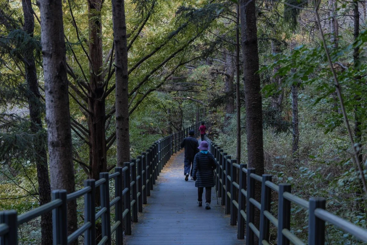 안산자락길 - 서대문단체여행 여행