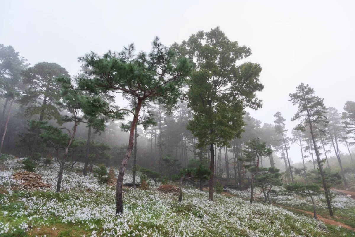 율곡수목원 - 파주 수목원 여행