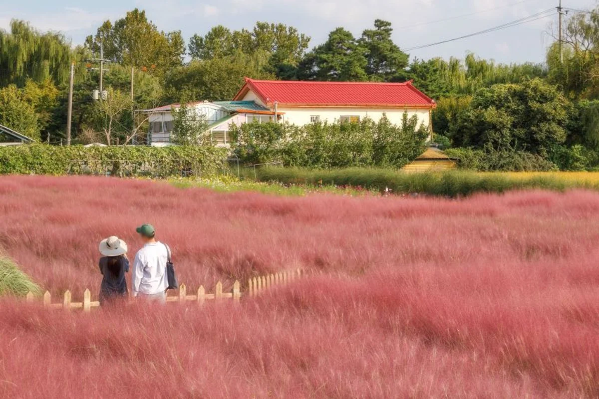 바람새마을 - 평택여행 여행
