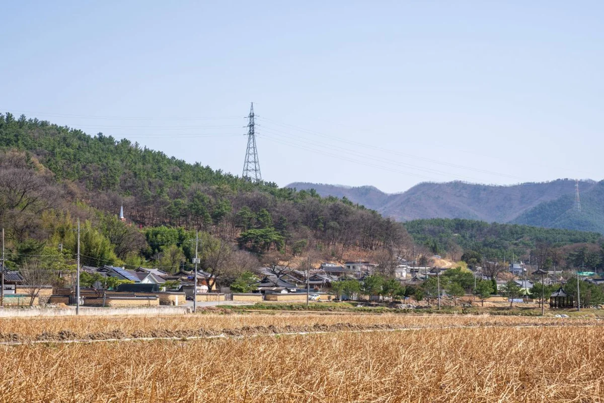 매원마을 - 칠곡군 여행