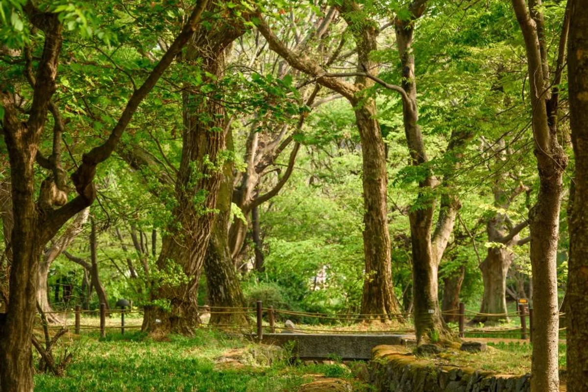 4월 전북 봄 축제 (출처 : 한국관광공사)