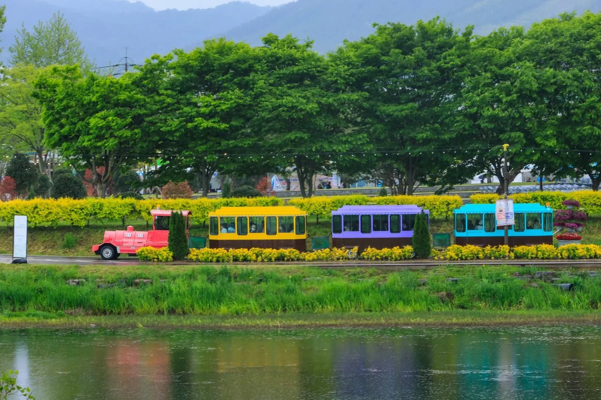 황룡강생태공원 - 장성군여행 여행