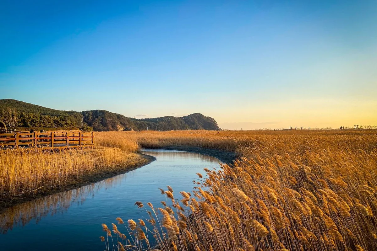 다대포해수욕장 - 사하구 여행