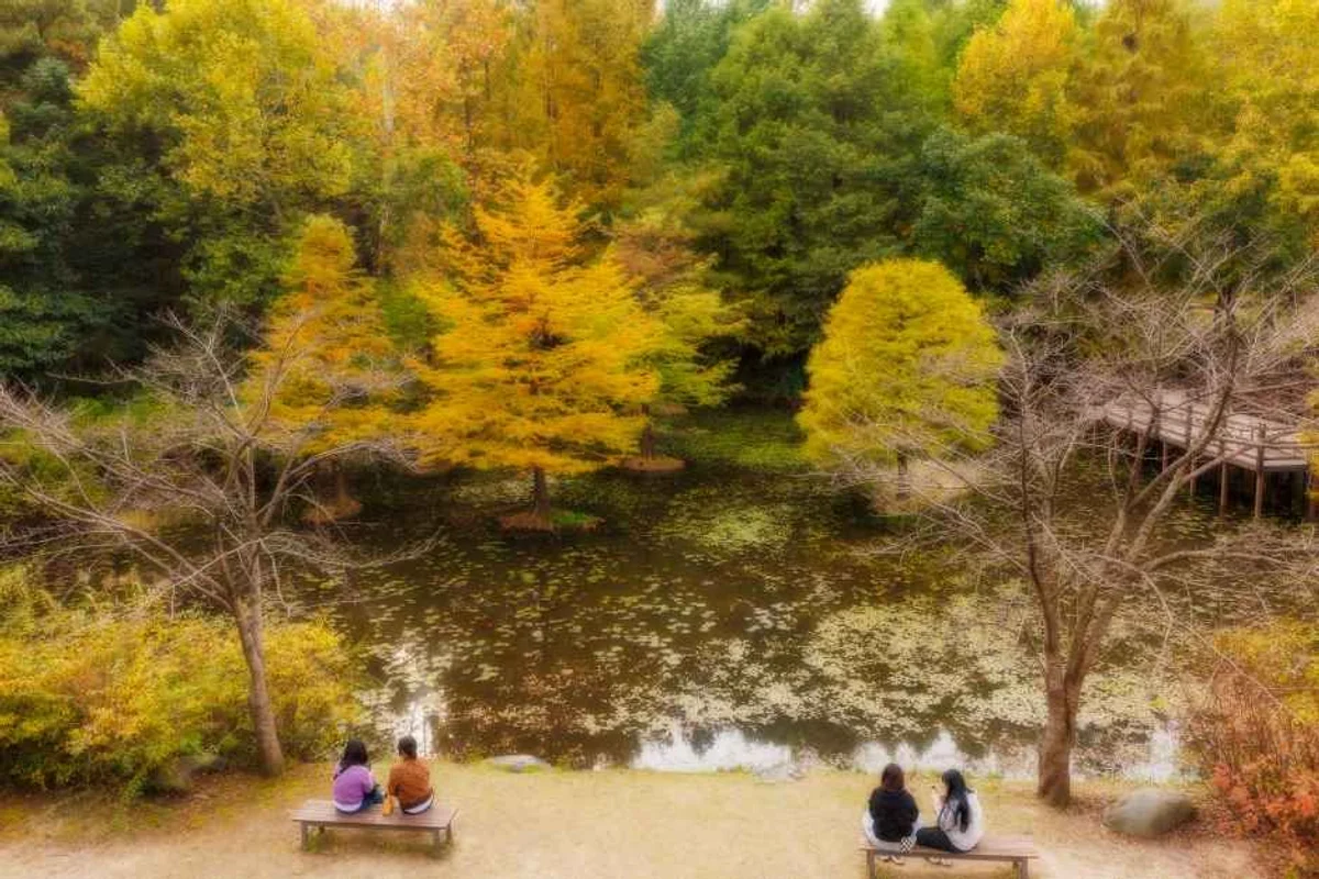 물향기수목원 - 오산여행 여행