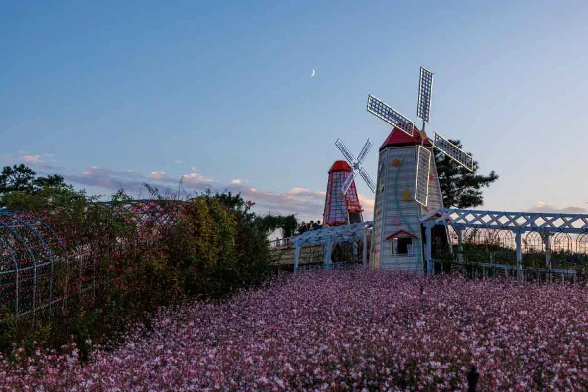 나성동 야경 산책 (출처 : 한국관광공사)