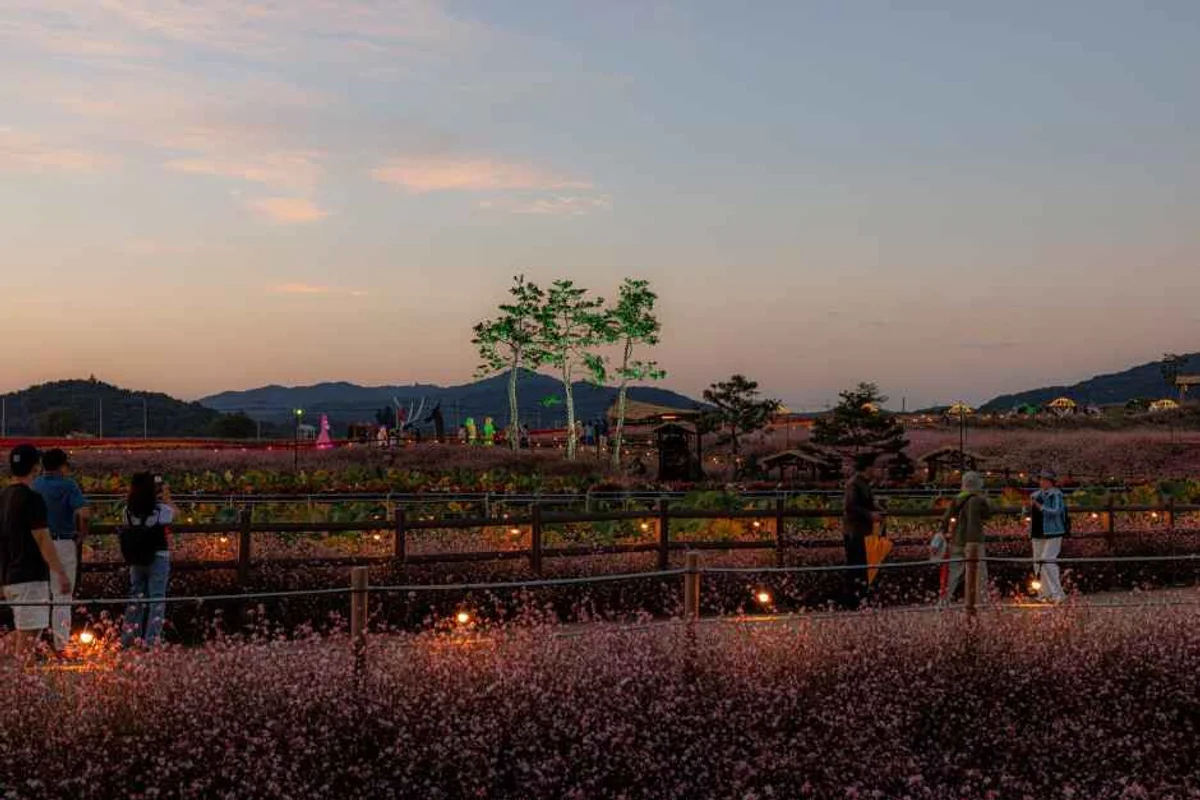 철원군 데이트 코스: 고석정 - 철원여행 여행