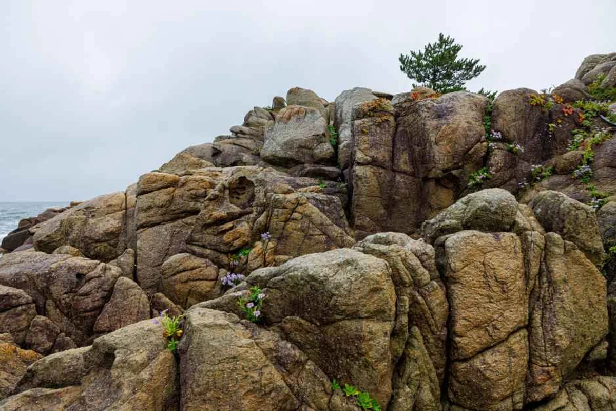 델피노 오션플레이 - 고성군 여행