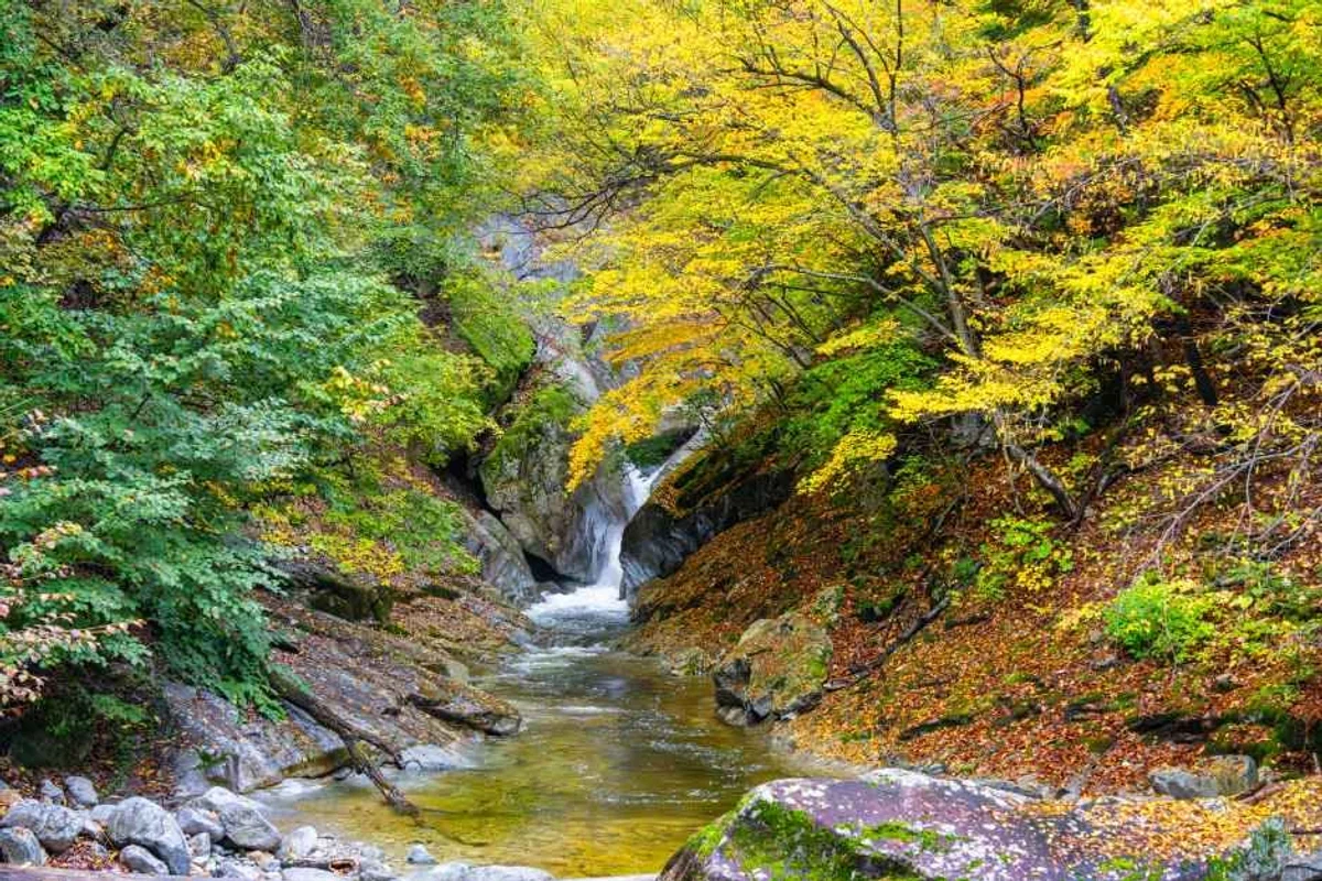설악산 국립공원 - 속초여행 여행